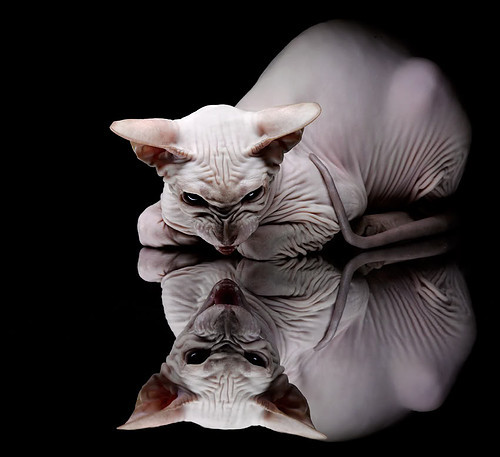 开云中国-西甲焦点战：皇马客场逆转巴萨，争冠悬念重燃，西甲30轮皇马对巴萨