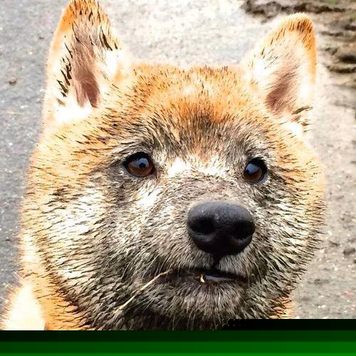 kaiyun体育app-青少年“篮球+文化创意”双创大赛在苏州全面开启，激发青少年创新潜能