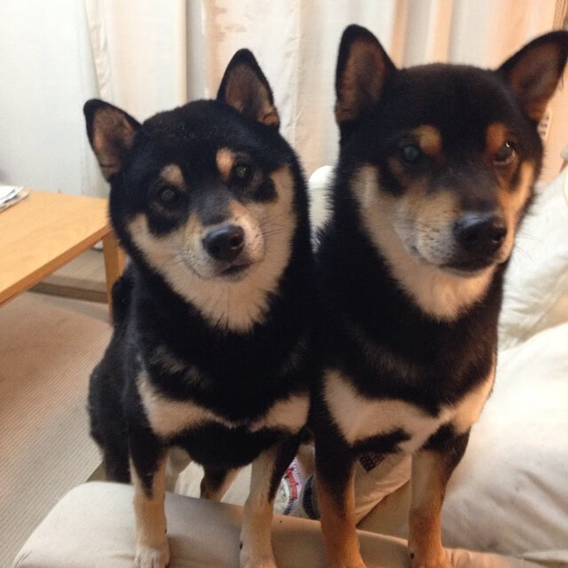 kaiyun.com-勇士击败雷霆，维金斯连续三场20+，勇士维金斯几号球衣