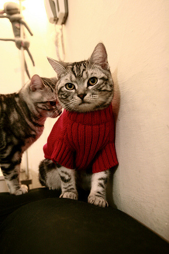 开云·体育官网-捷克队锋线全面发力，斯洛伐克队碾压取胜,实力与技术的完美结合