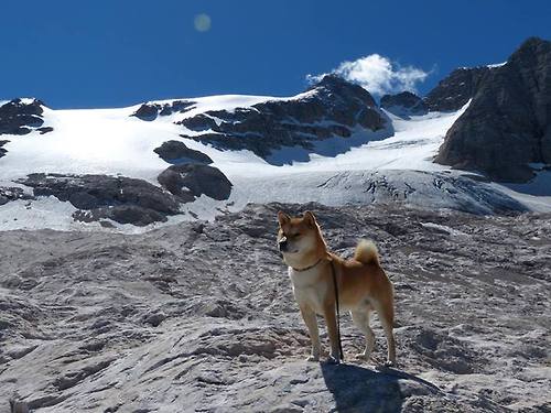开云体育-掘金再添胜场稳定冲击榜首，掘金首发