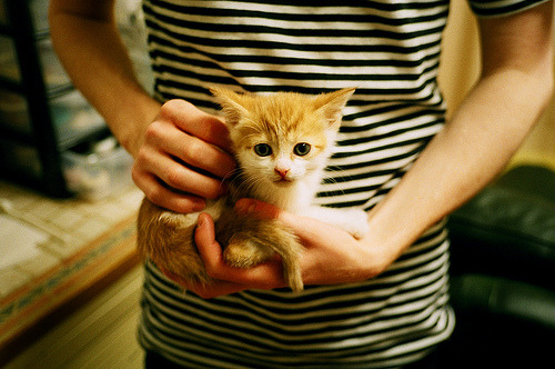 kaiyun开云·官方网站-法国队在欧洲杯半决赛中被西班牙逆转，止步四强，欧洲杯法国队对西班牙