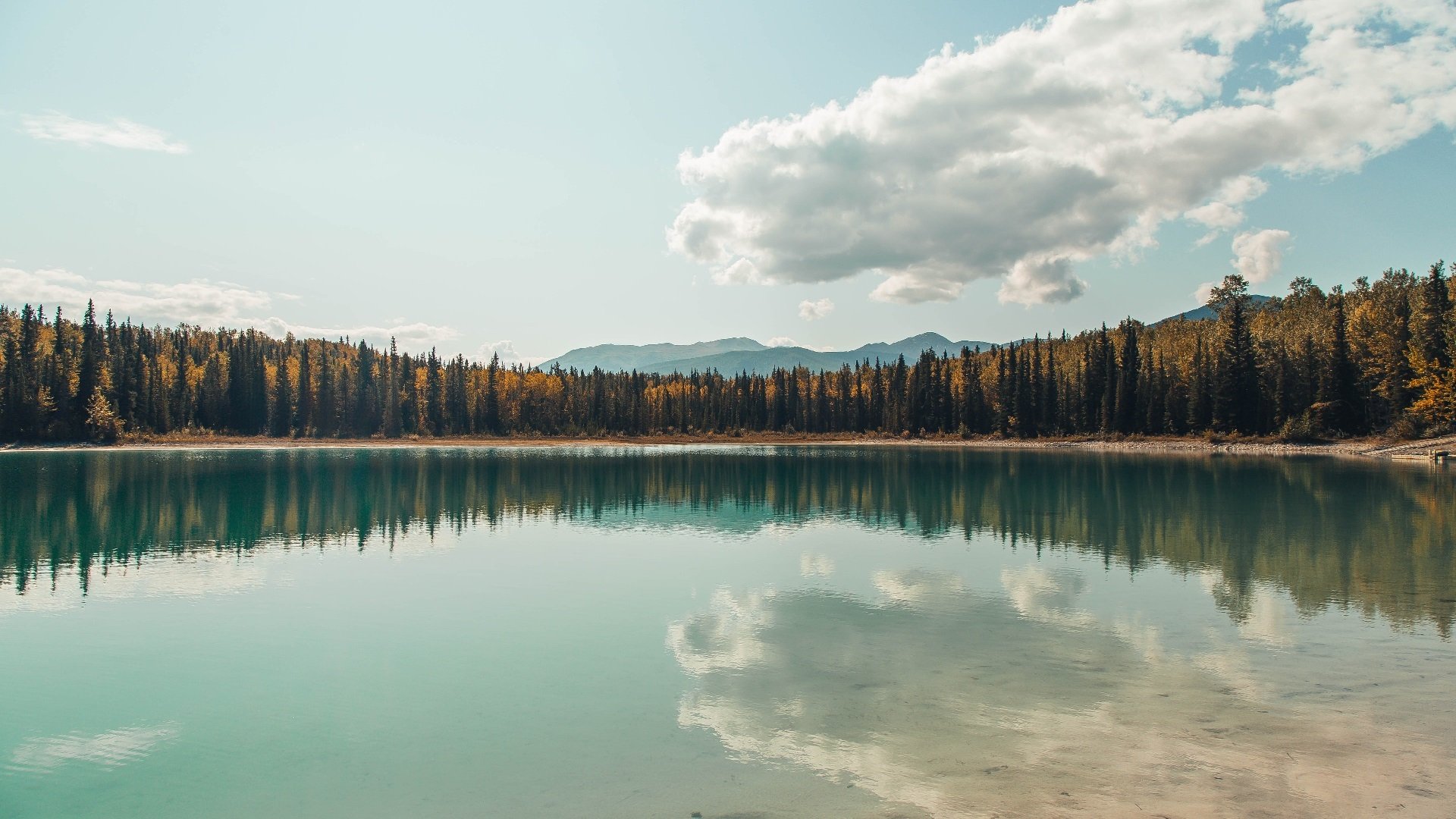 泰国球员成功登陆欧洲职业联赛,成就梦想,泰国12名足球队员