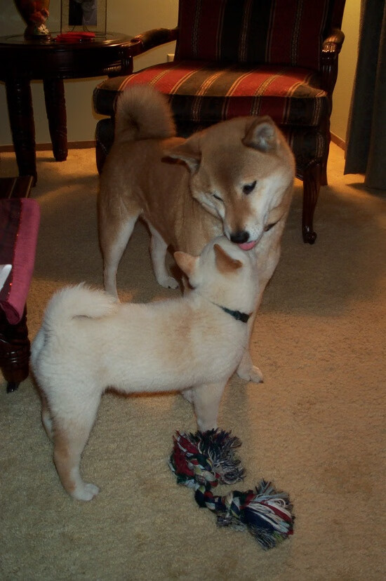 开云kaiyun-电竞与NBA周边产品打通渠道，电竞与品牌合作