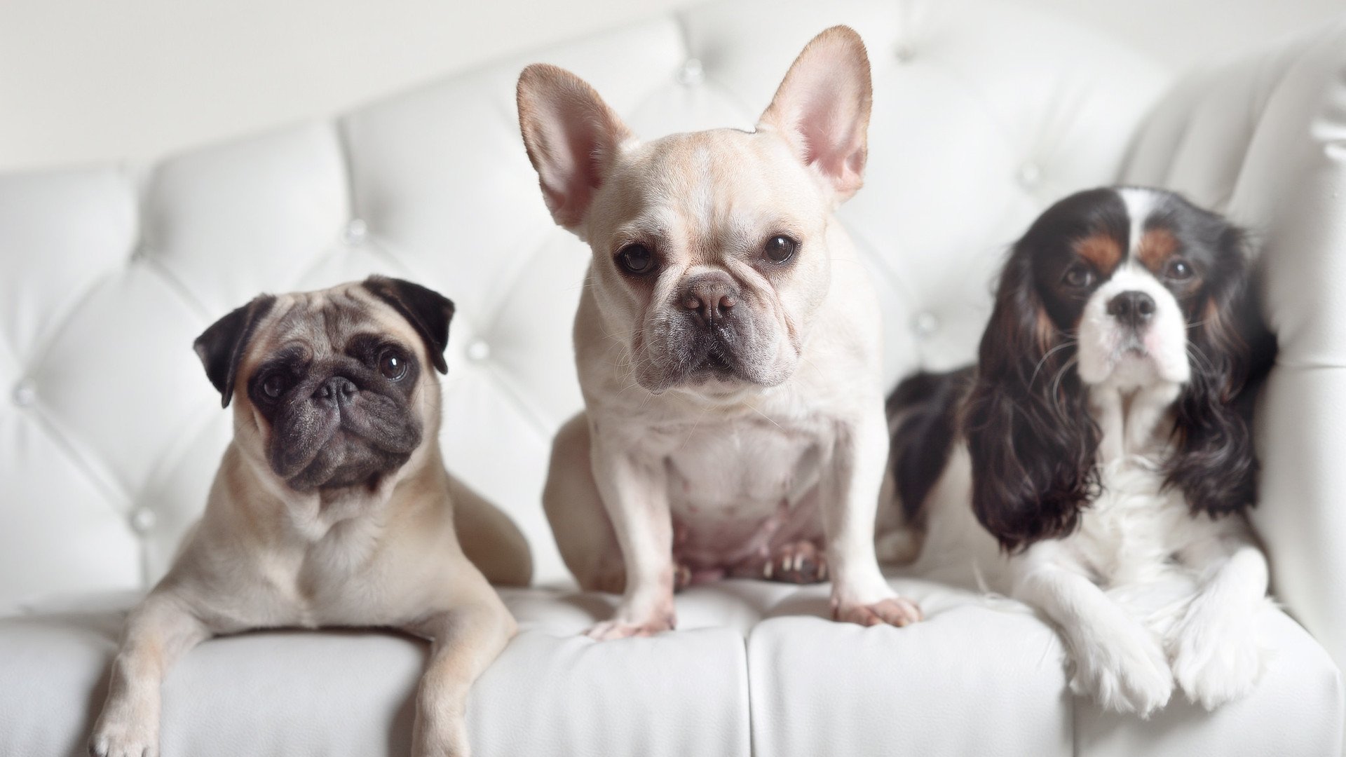 电竞与NBA周边产品打通渠道,电竞与品牌合作