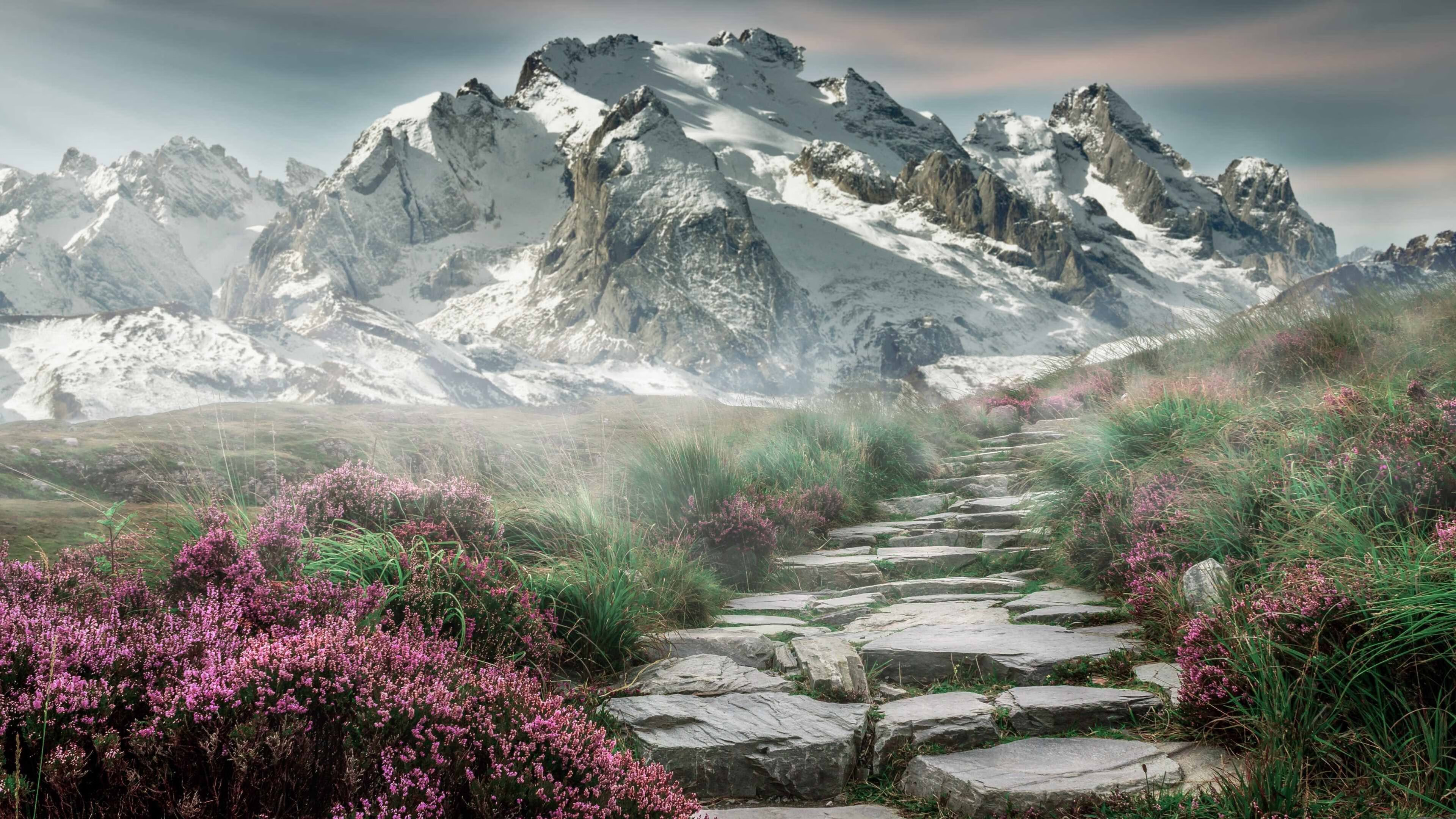 美因茨遭遇败仗,德甲保级形势不容乐观,美因茨换主教练了吗