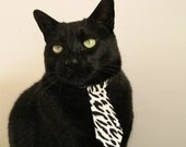 开云中国-荷兰马术队在巴黎奥运会障碍赛中获得第六名，展现强大实力。，荷兰队三架马车