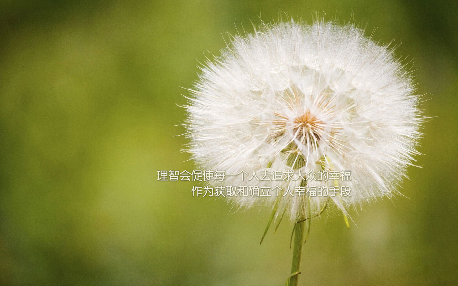 Kaiyun(中国)开云-体测系统全国联网数据实现统一监管，体测网站查询系统