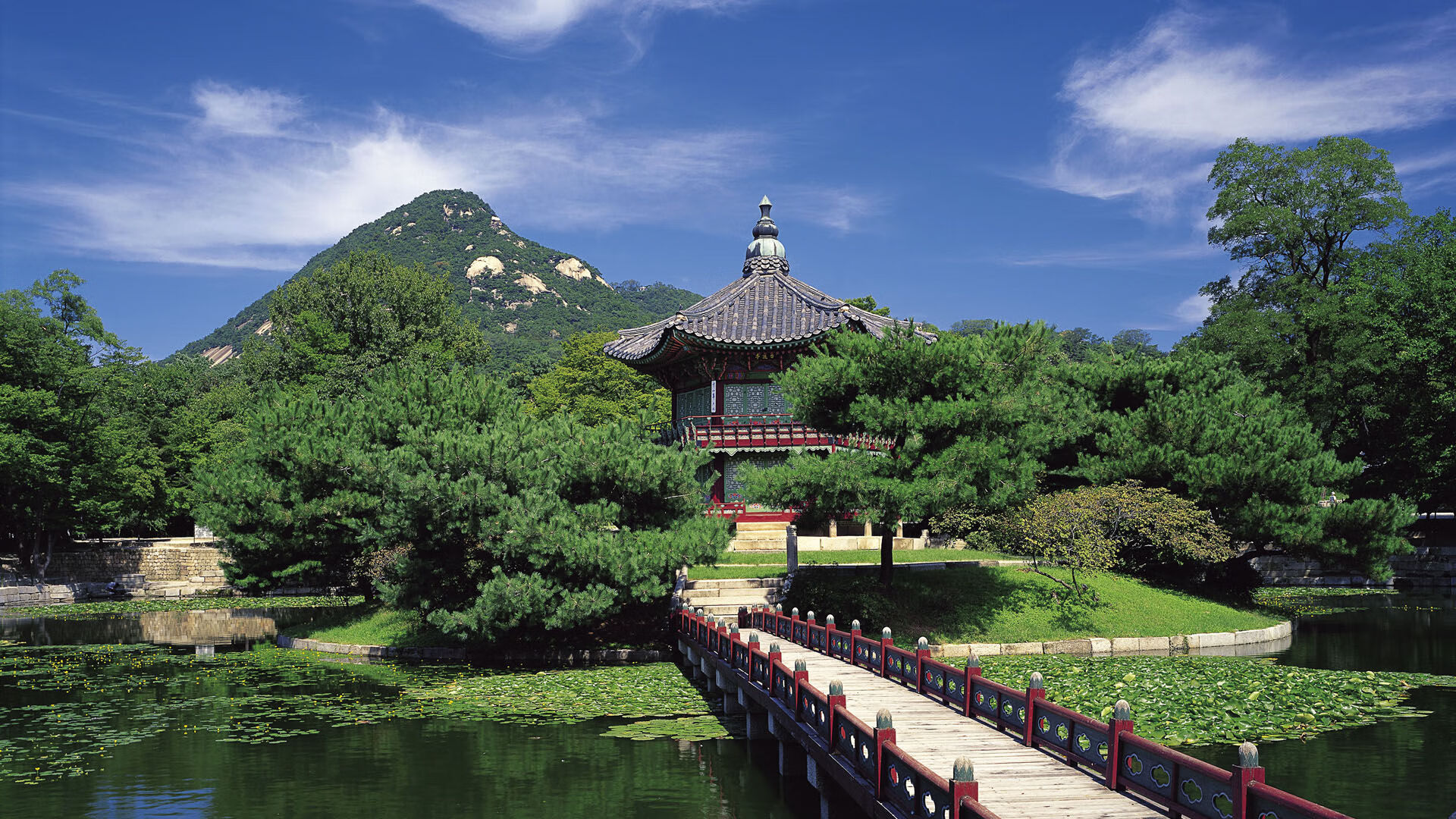 尼斯后防密集站位减少失误空间