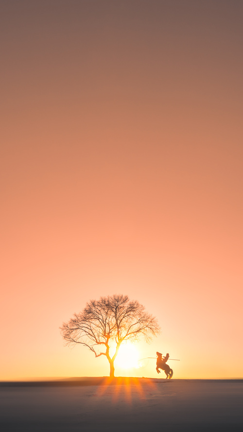 国家级足球训练基地建设稳步推进,培养未来超级巨星,国家足球训练基地在哪里