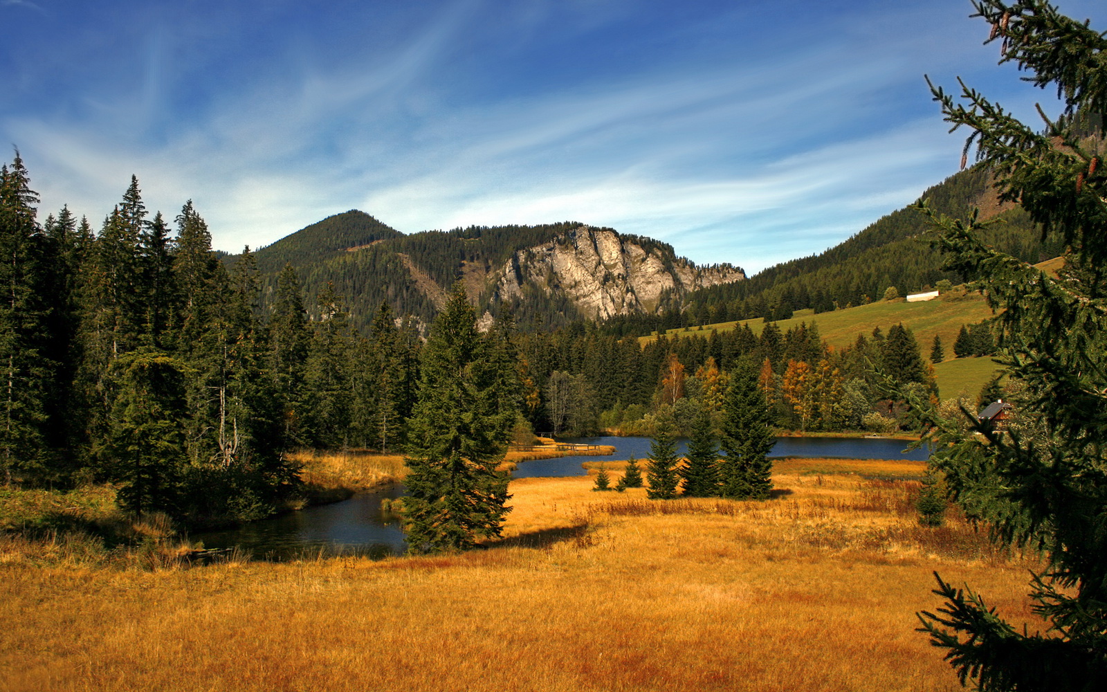 kaiyun官方入口登录-瑞安：在全黑队的进攻体系中扮演着至关重要的角色，2019年瑞安打黑案件