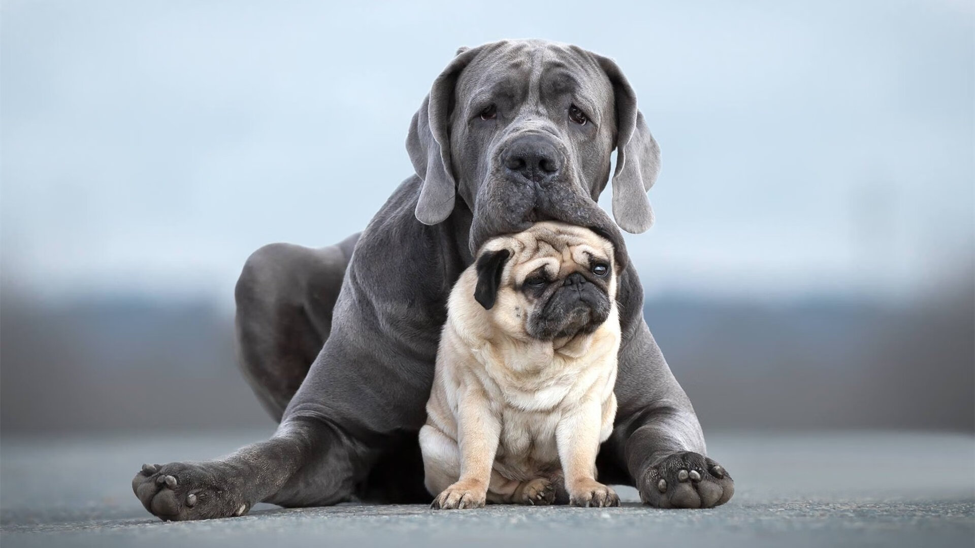 KAIYUNAPP-詹姆斯新赛季前瞻目标直指总冠军，詹姆斯2022赛季