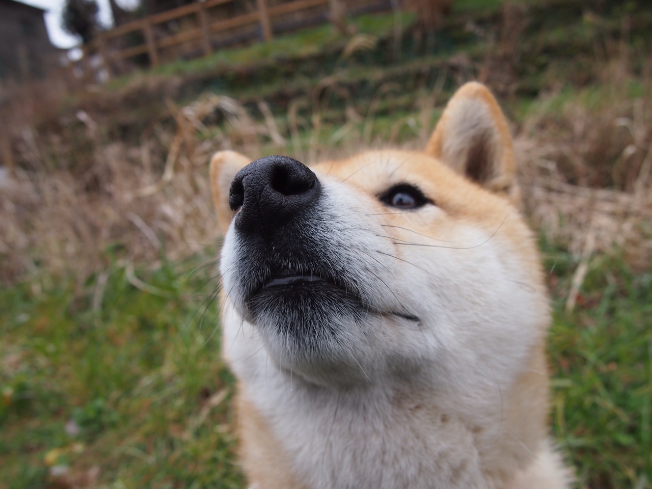 开云官方网页登录-詹姆斯签约新东家NBA总决赛，詹姆斯首进总决赛